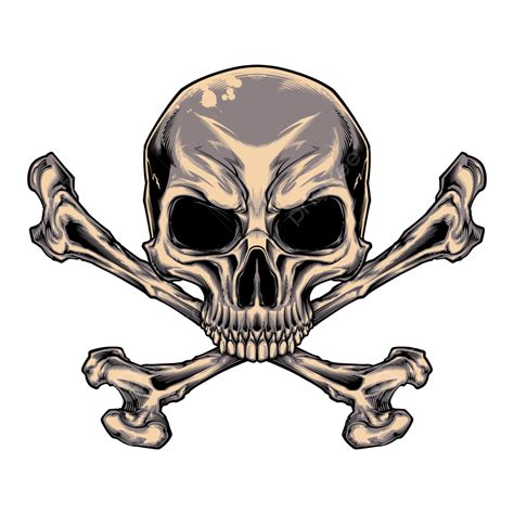 Skull PNG Transparent Images Free Download .